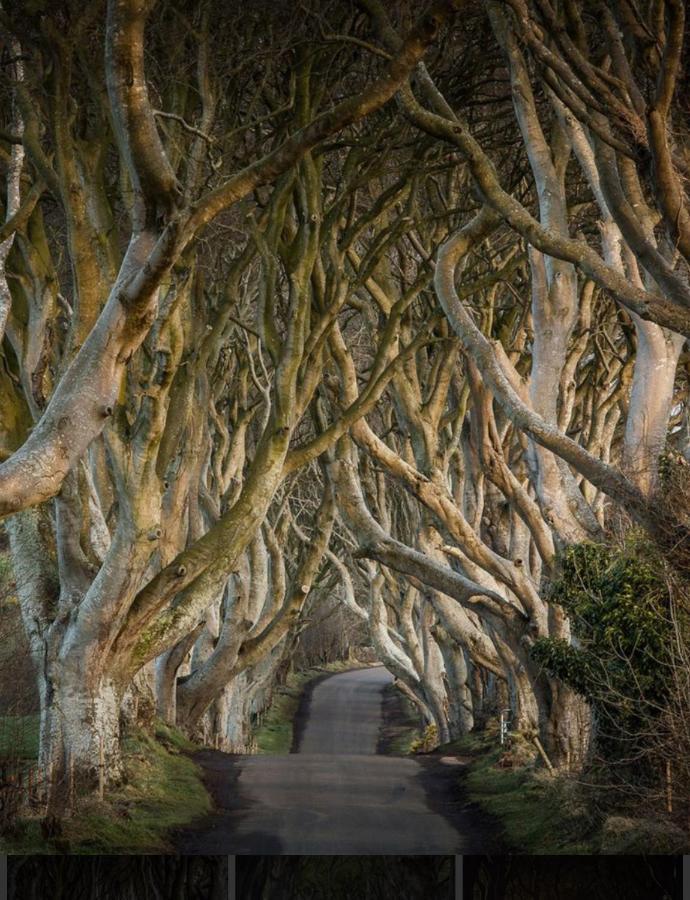 Ballycastle Hilltop Apartment エクステリア 写真